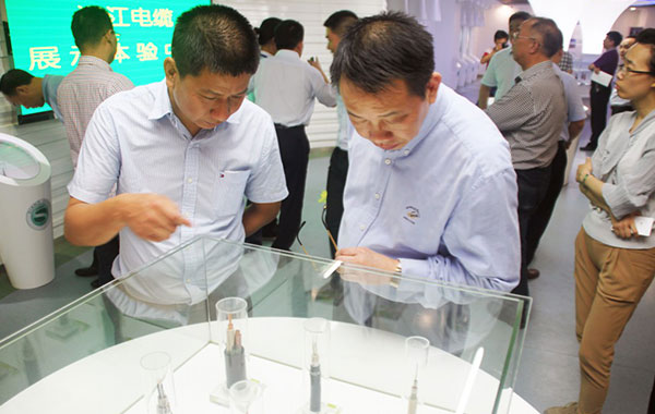 长沙市委领导考察湘江电缆高压电力电缆生产工作