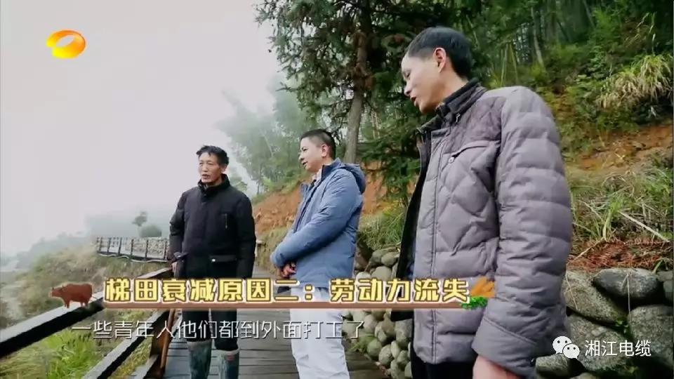 湘江电缆湖南卫视《乡村合伙人》一企帮扶一村