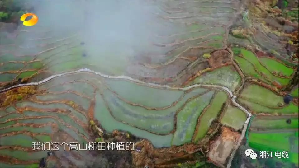 湘江电缆湖南卫视《乡村合伙人》一企帮扶一村