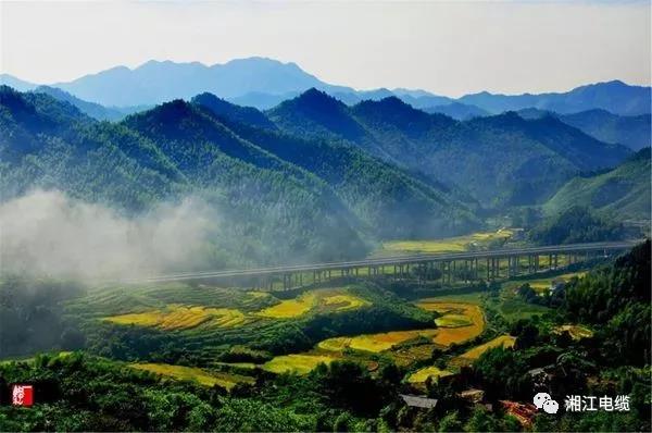 湘江电缆湖南卫视《乡村合伙人》一企帮扶一村